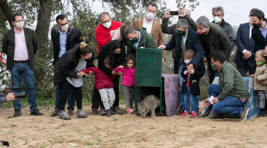 "El Borril” vuelve a abrir al público este sábado